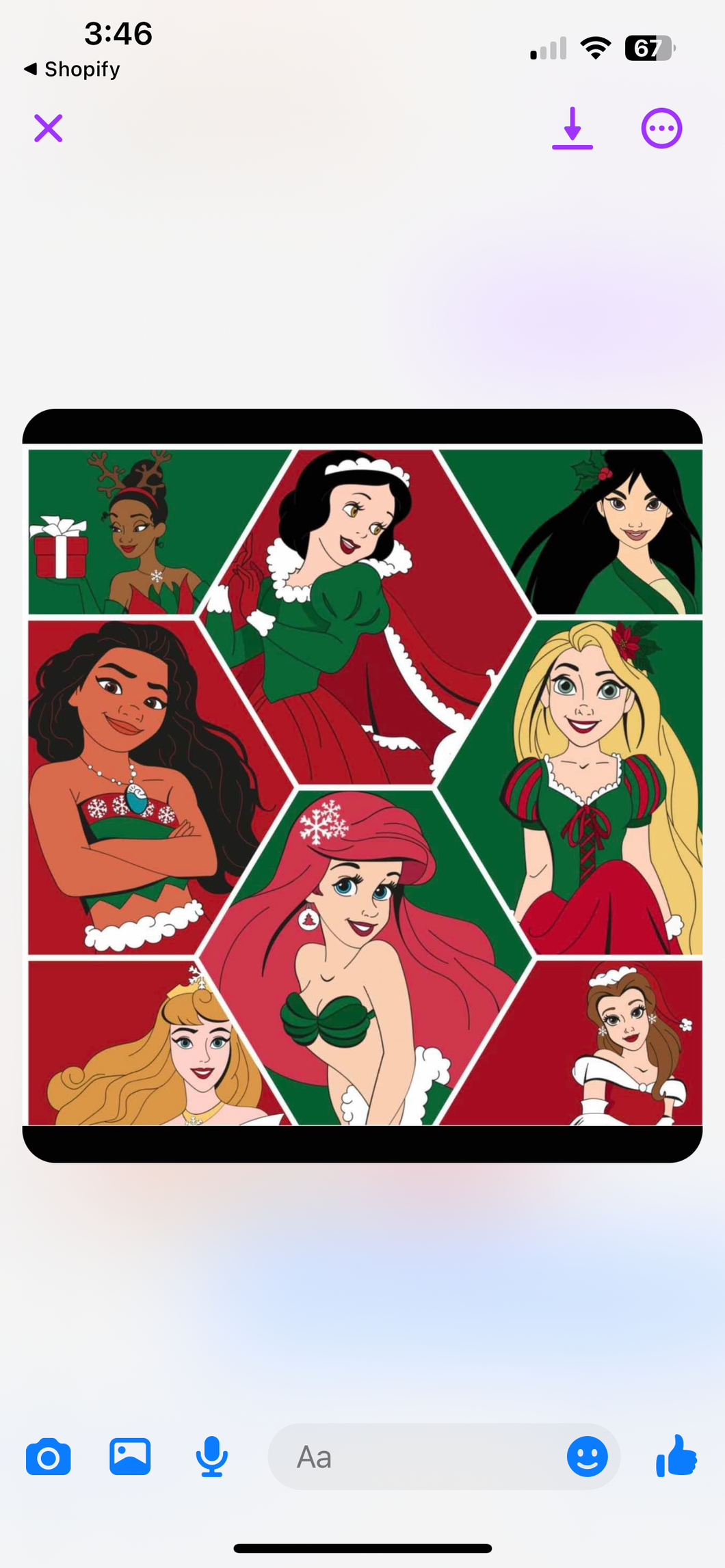 Princess Christmas botttoms